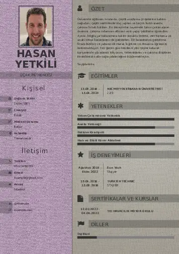 Havacılık Ve Uzay Uçak Mühendisi Cv Örnekleri cv indir